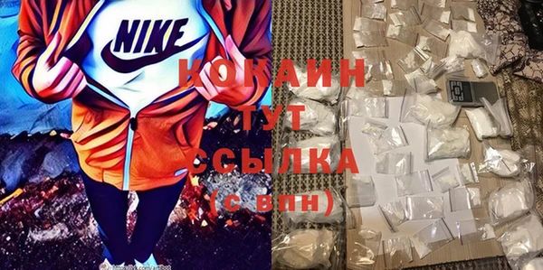твердый Богородск