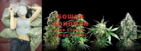 твердый Богородицк