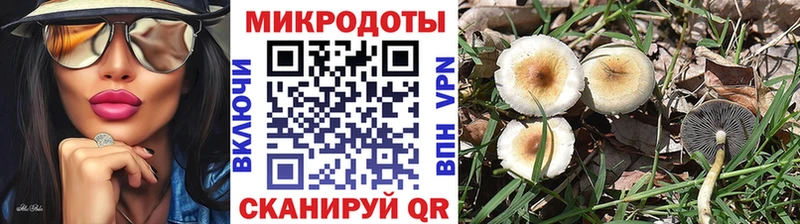 Псилоцибиновые грибы ЛСД  Электрогорск 
