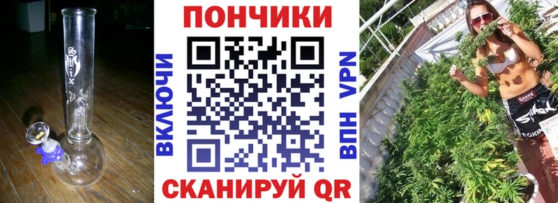 это наркотические препараты  что такое   Электрогорск  Канабис планчик 